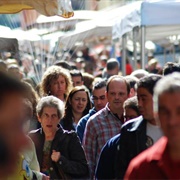 Anthropophobia – the Fear of People
